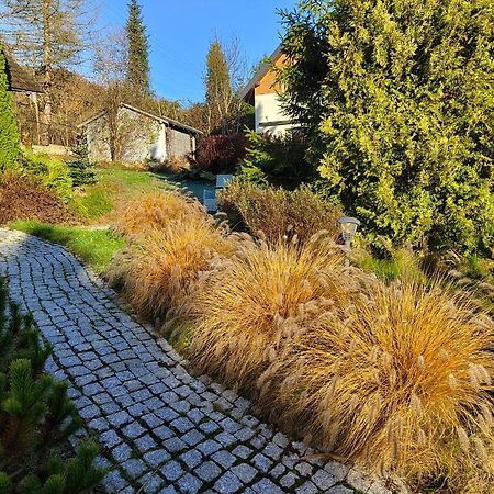 Beskid Ski Villa Wisła Eksteriør bilde