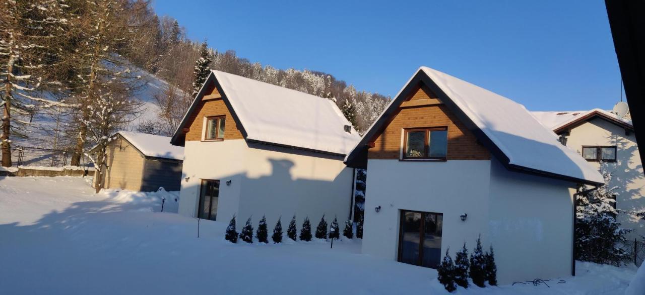 Beskid Ski Villa Wisła Eksteriør bilde