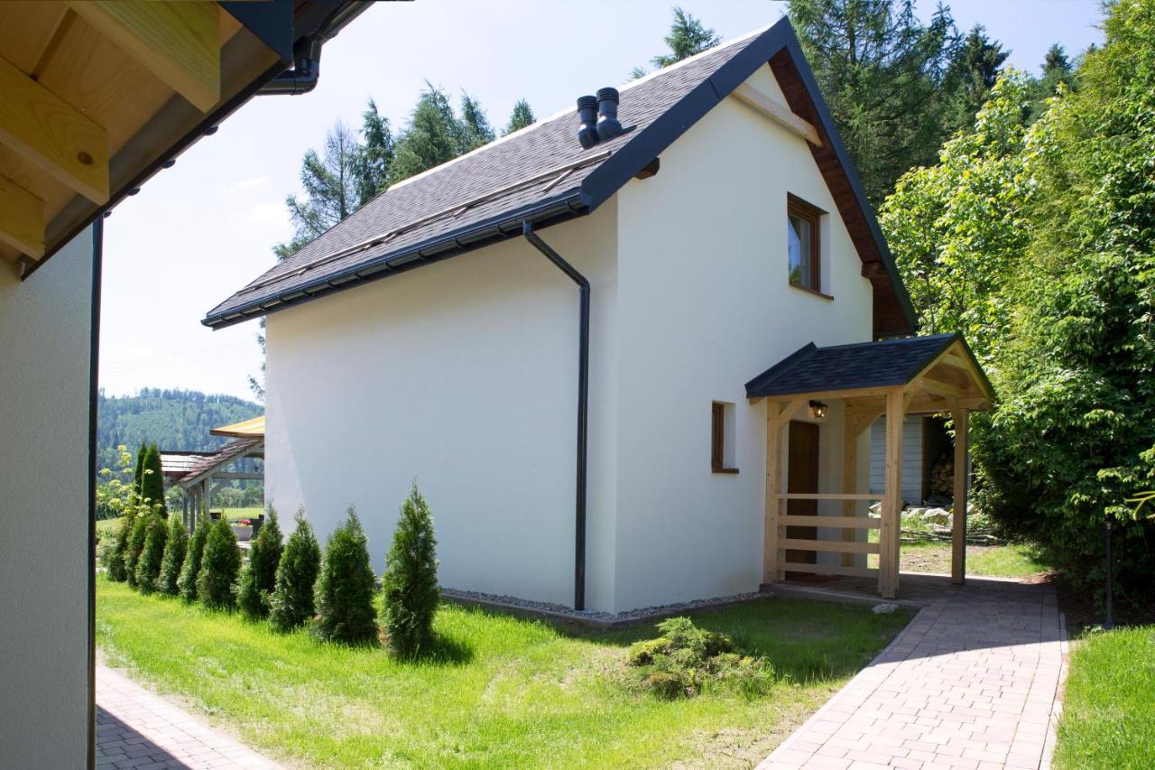 Beskid Ski Villa Wisła Eksteriør bilde