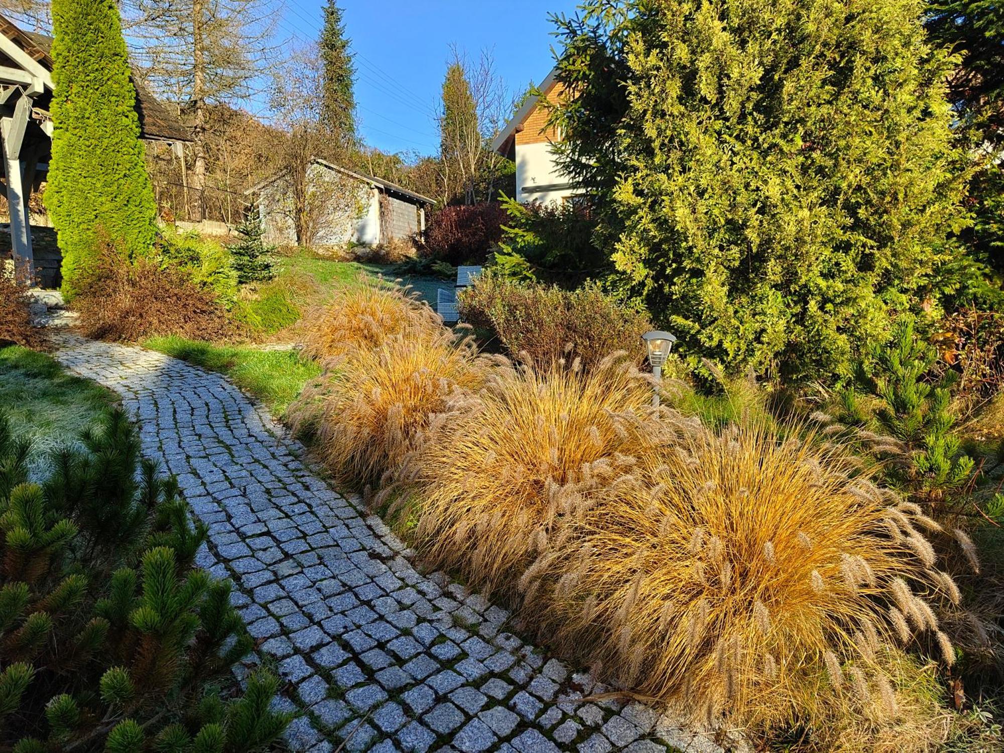 Beskid Ski Villa Wisła Eksteriør bilde