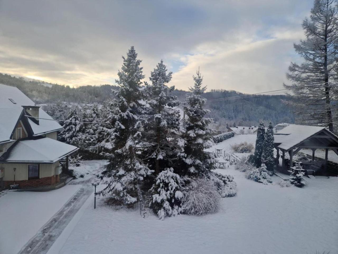 Beskid Ski Villa Wisła Eksteriør bilde