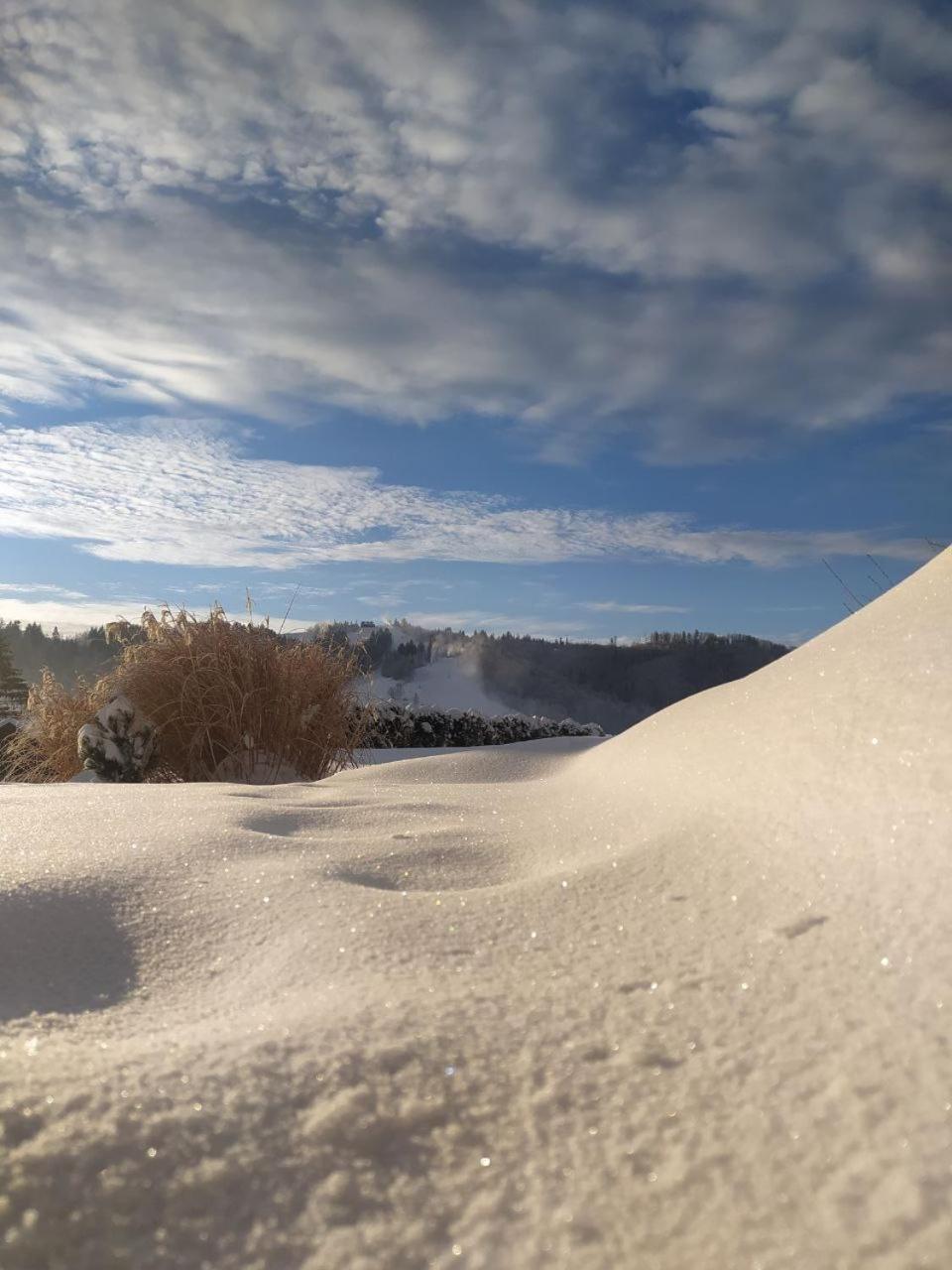 Beskid Ski Villa Wisła Eksteriør bilde